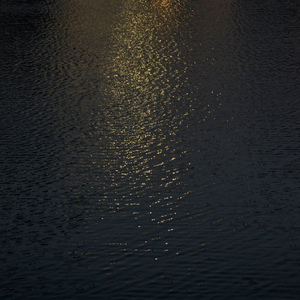 王秋儿蕾丝三角裤跳钢管舞
